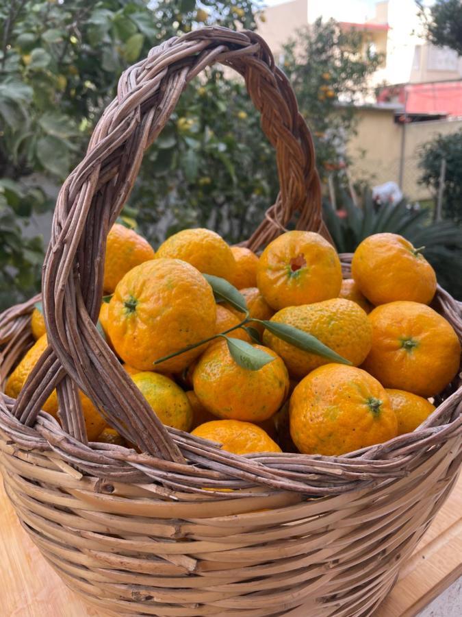 Tangerine Tree House Lejlighed Cagliari Eksteriør billede